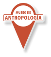 ANTROPOLOGÍA MUSEO DE
